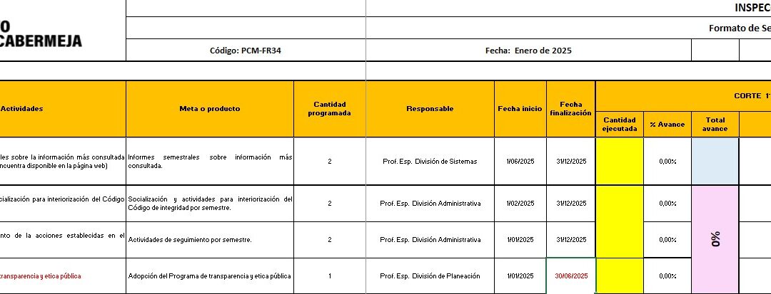 9.4 Formato seguimiento PAAC