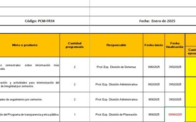 9.4 Formato seguimiento PAAC