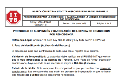 SUSPENSION LICENCIA DE CONDUCCIÓN POR REINCIDENCIA